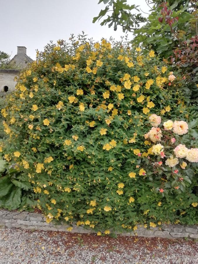 Victoria Arromanches B&B Tracy-sur-Mer Екстериор снимка