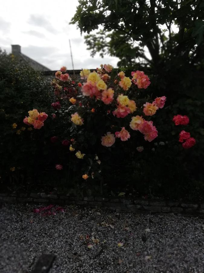 Victoria Arromanches B&B Tracy-sur-Mer Екстериор снимка